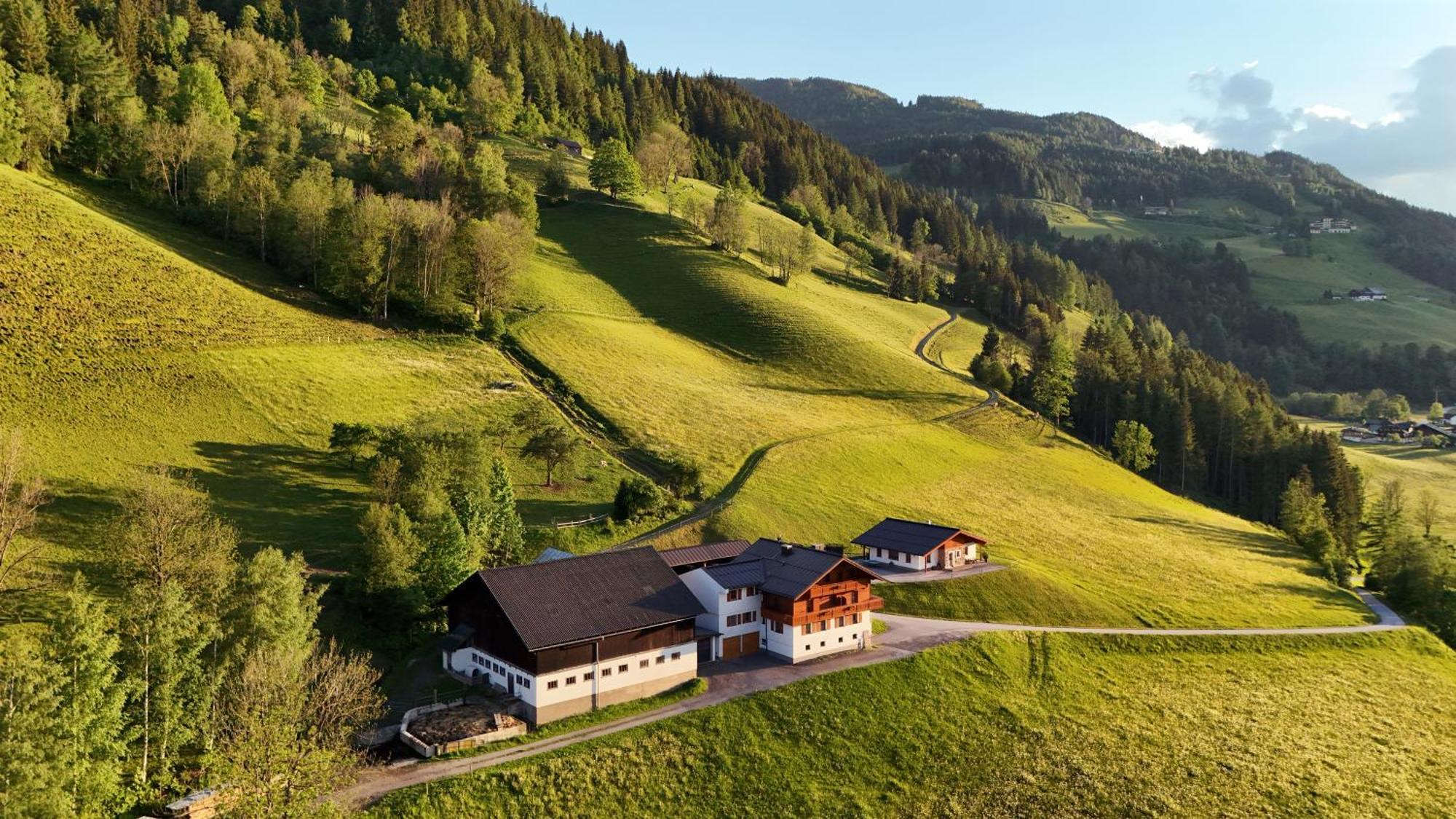 Apartments Frechhof Schladming Exterior photo